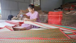 Nghề dệt chiếu lác ở Tây Ninh – Tinh Hoa Văn Hóa và Điểm Nhấn Du Lịch 1