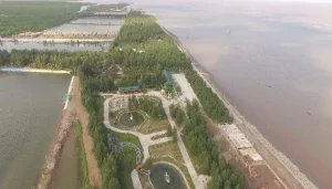 Bãi biển Cồn Đen – Không gian biển yên bình giữa vùng đất Hưng Yên 19