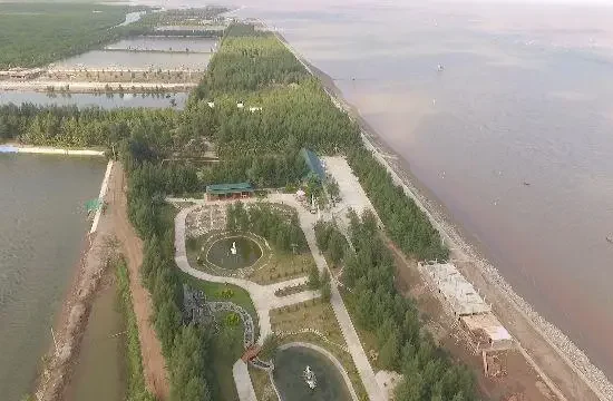 Bãi biển Cồn Đen – Không gian biển yên bình giữa vùng đất Hưng Yên 7