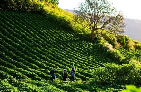 Biển Hồ Chè  11