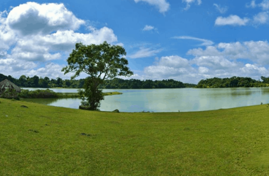 Trảng cỏ Bù Lạch – Bức tranh đồng cỏ giữa đại ngàn 9