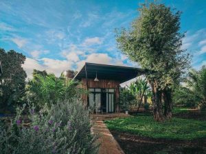 Bungalow Sunflower Paksong Farmstay  3