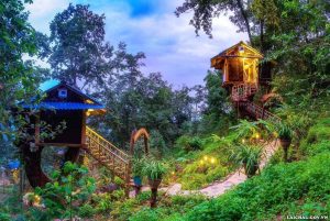 Homestay Nhà Tổ Chim – “Treehouse” độc đáo, trải nghiệm gần gũi thiên nhiên 17