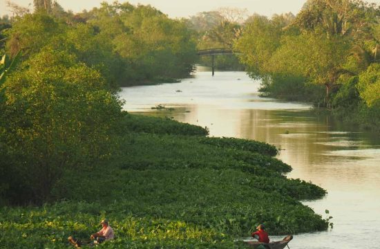 Cù lao An Bình – Miệt vườn xanh mát giữa lòng sông Tiền của Vĩnh Long mới 3