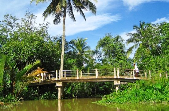 1 Ngày khám phá miền dừa Bến Tre – sông Tiền thơ mộng 10