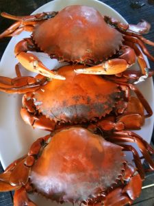 Cua biển Cà Mau: Vị Ngọt Từ Biển Cả 44