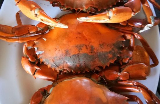 Cua biển Cà Mau: Vị Ngọt Từ Biển Cả 45