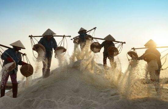 Đồng muối Sa Huỳnh - Cánh đồng muối nổi tiếng ở Việt Nam vào thế kỷ XIX 17