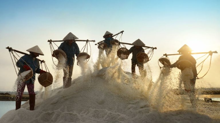 Đồng muối Sa Huỳnh – Cánh đồng muối nổi tiếng ở Việt Nam vào thế kỷ XIX