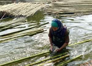 Độc đáo nghề tre Xuân Lai: Thăng hoa hồn tre Việt 53