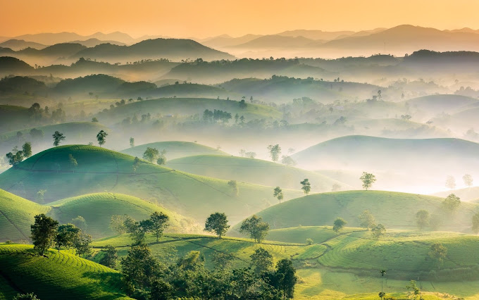 3N2Đ ở Phú Thọ thì chơi gì ?