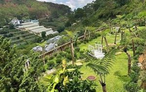 Đồi Mơ Homestay 5