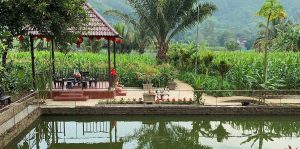 Dong Du Village Lakeside Farmstays – Nghỉ Dưỡng Sinh Thái Giữa Vườn Cây & Hồ Nước Đông Hiếu 13