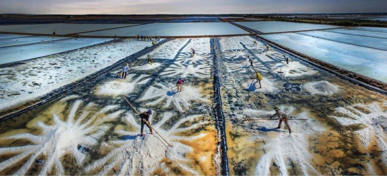 Chuyến đi 2N1Đ khám phá thiên nhiên và di sản Quảng Ngãi – Sa Huỳnh