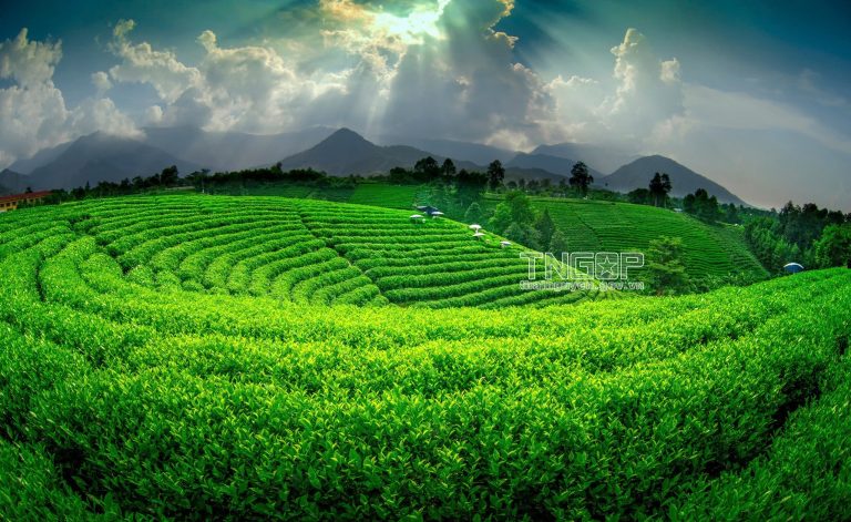 Tham khảo lịch trình 3N2Đ ở Thái Nguyên