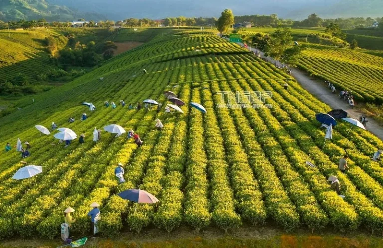 Khám phá Thái Nguyên trong vòng 1 ngày