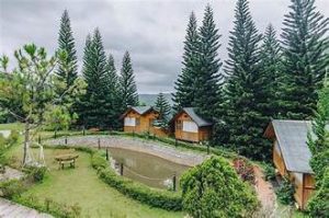 Elon Coffee Farmstay 13