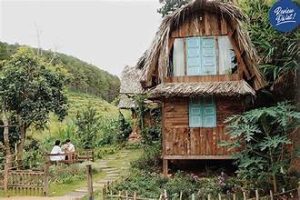 Midori Coffee Farm 15