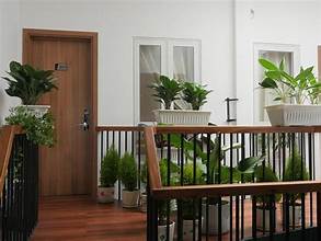 Feliz Dalat Homestay 1