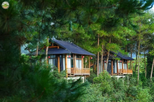 Tân Uyên Paradise – “Thiên đường nghỉ dưỡng giữa đồi chè” 9