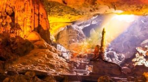 Song Hồng Tourist – Tour Hạ Long 1 ngày trọn gói (giá ~850.000 đ) 5