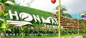 Hòn Mát – Thiên Đường Camping & Check-in Sinh Thái Ở Nghệ An 13