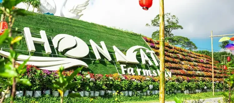 Hòn Mát – Thiên Đường Camping & Check-in Sinh Thái Ở Nghệ An