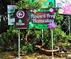 Flower & Frog Homestay