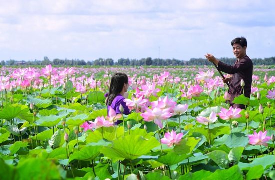 Tour combo trọn gói 3 ngày 2 đêm du lịch Hà Nội - Đồng Tháp 5