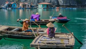 Tour Ghép Tham Quan Vịnh Hạ Long 1 Ngày (5–6 Tiếng) 7