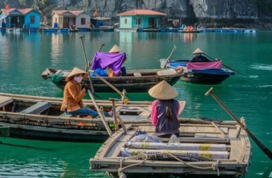 Tour Ghép Tham Quan Vịnh Hạ Long 1 Ngày (5–6 Tiếng) 20