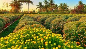 TOUR CHECK-IN LÀNG HOA SA ĐÉC – TRẢI NGHIỆM KHÔNG KHÍ CHỢ QUÊ – KHÁM PHÁ KDL MỸ PHƯỚC THÀNH 5