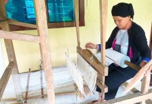 Nghề dệt của người Dao Họ 27