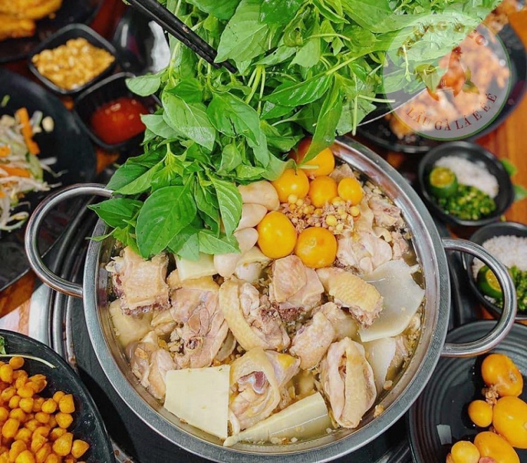 Lẩu gà lá é Đà Lạt – món ngon nức tiếng xứ sở ngàn hoa