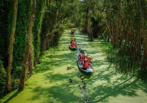 Làng nổi Tân Lập - Kỳ quan giữa lòng hồ 13