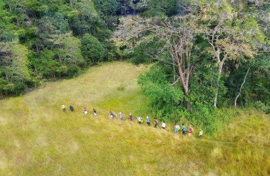 Vườn Quốc gia Lò Gò - Xa Mát, vẻ đẹp của thiên nhiên kỳ diệu 6