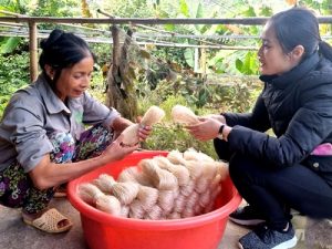 Ðậm đà hương vị miến dong Nguyên Bình