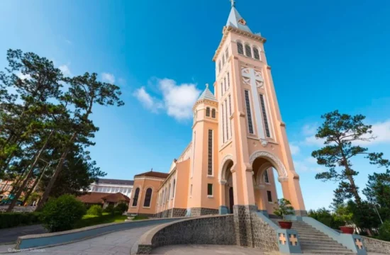 Lịch trình 2: Miền dừa Bến Tre & homestay miệt vườn 15