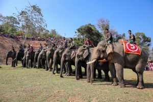 Đua voi Buôn Đôn – Nét thượng võ độc đáo của người Tây Nguyên 35