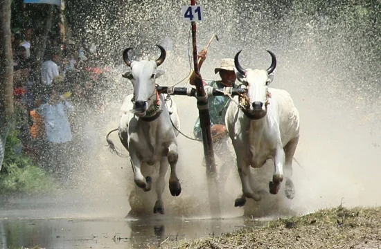 LỊCH TRÌNH 2: KHÁM PHÁ VÙNG BẢY NÚI – VĂN HÓA KHMER – ẨM THỰC LẠ 3