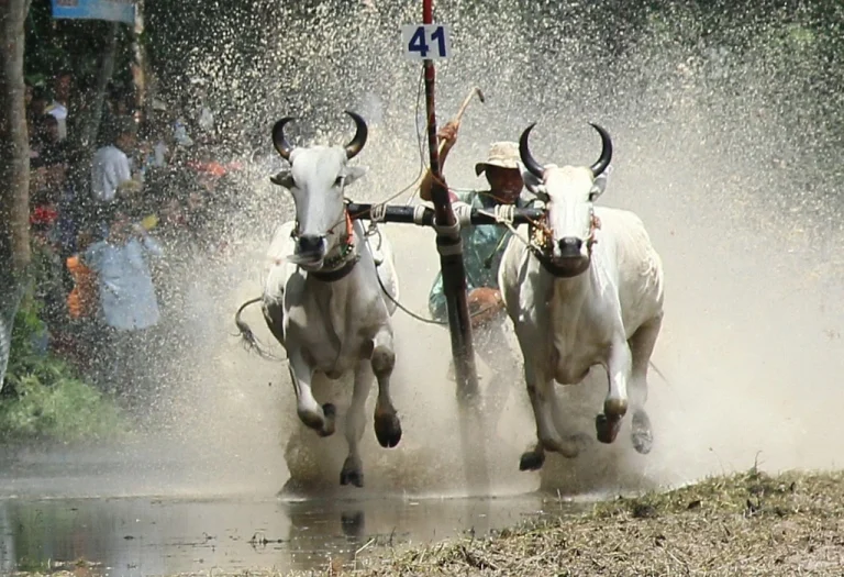 LỊCH TRÌNH 2: KHÁM PHÁ VÙNG BẢY NÚI – VĂN HÓA KHMER – ẨM THỰC LẠ