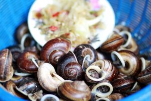 Ốc xu núi Bà - Hương vị của thảo mộc quý hiếm vùng Tây Ninh 17