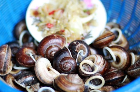 Ốc xu núi Bà - Hương vị của thảo mộc quý hiếm vùng Tây Ninh 15