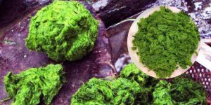 Rêu đá nướng Mường Lay – Món quà từ lòng suối, đậm đà hồn núi 18