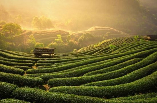 Free&Easy Tour khám phá Thái Nguyên - mẫu 1 44