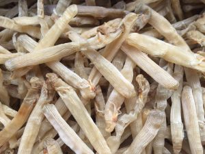 Thưởng thức đặc sản sá sùng Hạ Long siêu hấp dẫn 15