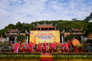 Lễ hội Đền Cao An Phụ 17