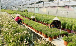 Vườn Nhà Tám – Homestead & Farmstay - Không gian Nam Bộ xưa giữa lòng An Giang – vừa nghỉ dưỡng vừa trải nghiệm làng nghề 1