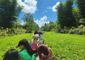 Cần Thơ (Thiên nhiên & Hành hương) 9