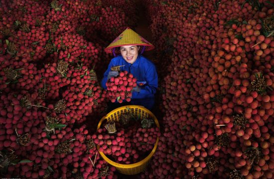 Trải nghiệm Lục Ngạn – Mùa vải chín 35